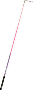 Baguette Elite Pastorelli Pailletée Dégradée rose/violet