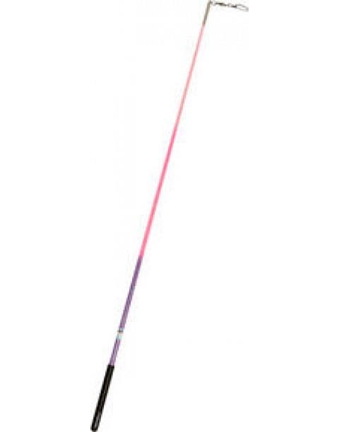 Baguette Elite Pastorelli Pailletée Dégradée rose/violet