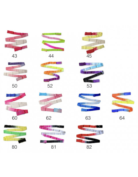 Rubans Elite Pastorelli 5m sans baguette multicolores dégradés 